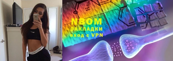 стафф Зеленокумск