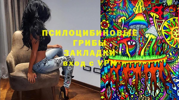 стафф Зеленокумск