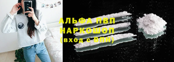 стафф Зеленокумск