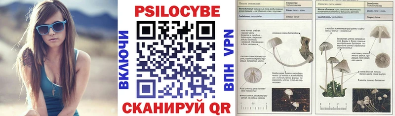 Псилоцибиновые грибы GOLDEN TEACHER Жигулёвск