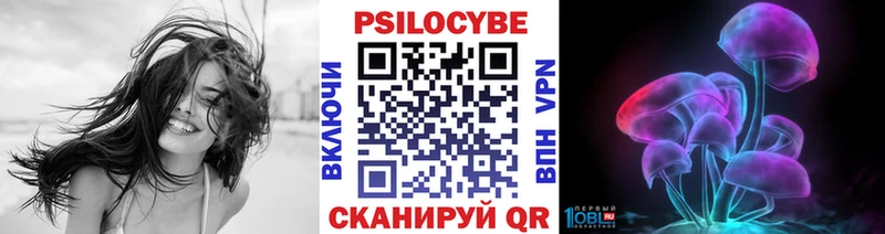Купить где  Жигулёвск  Галлюциногенные грибы Psilocybe 